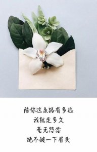 ​短句毒句虐心八个字 2023年祝福的搞笑短句子