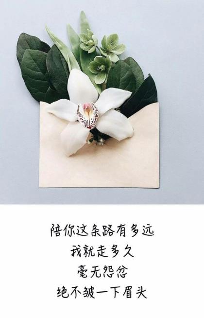 短句毒句虐心八个字
