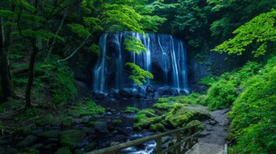 ​早上晨会分享正能量短篇(早间正能量)