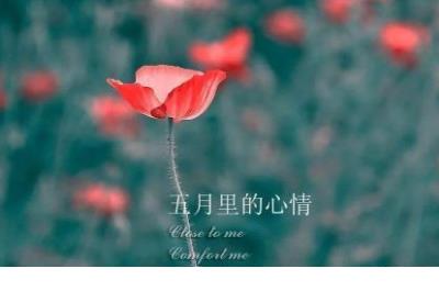 一问一答式的整人段子