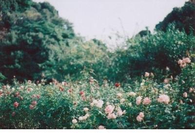描写太阳的句子短句