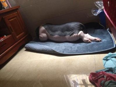 骚里骚气文艺的句子 别人骂我骚里骚气我怎么反驳