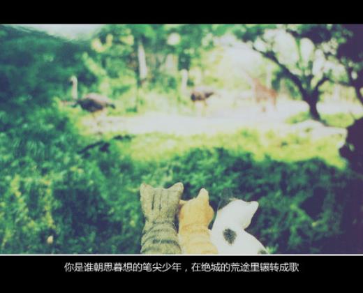 2023最火给女朋友好听的备注