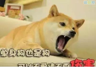 小说描写情侣的句子