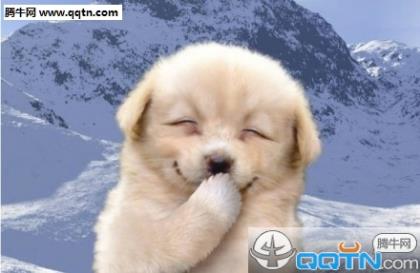年少轻狂后悔个性签名