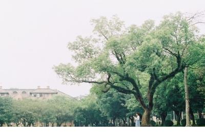 年少轻狂后悔个性签名