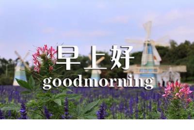 描写城市天气热的句子