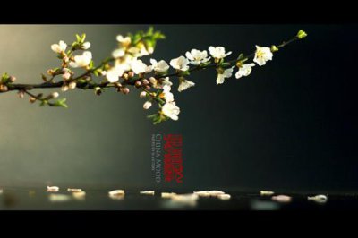​关于友谊的唯美句子 友谊唯美短句八个字