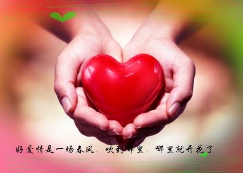 一年感谢相遇的唯美句子
