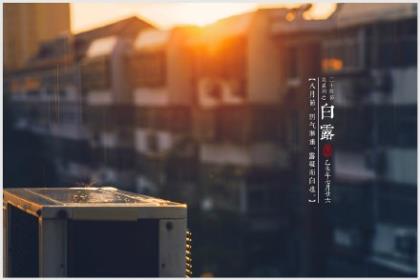 楚辞中最唯美的句子
