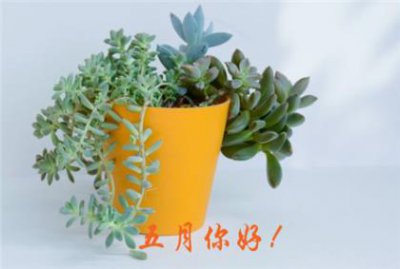 ​舌尖上的中国1经典语录