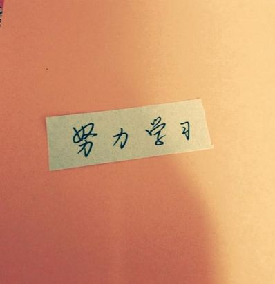文艺句子你努力的样子 作为学生我们不能不努力学习照样子写句子