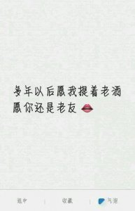 ​愿多年以后唯美句子 愿多年以后……的句子
