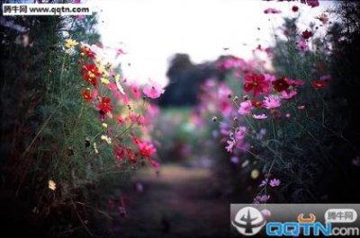​珍惜青春年华的句子 珍惜时间 把握青春