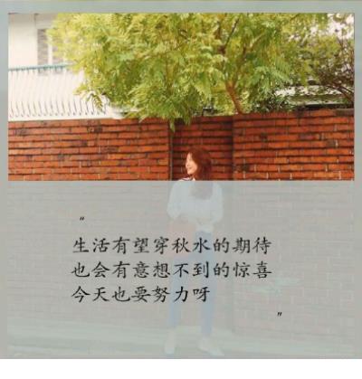 对感情依依不舍的句子