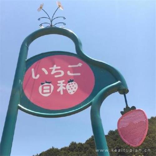 即将逝去的青春句子