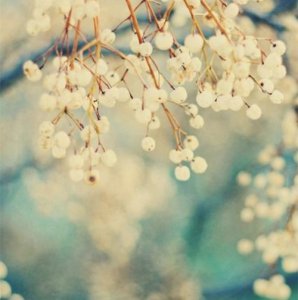​清明节怀念烈士的句子 清明节祭英烈