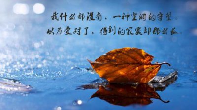 ​希特勒-我的奮鬥（希特勒演讲经典语录）