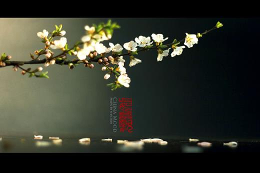 关于读书的句子短句