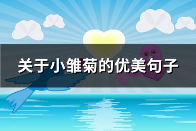 ​关于小雏菊的优美句子(热门89句)