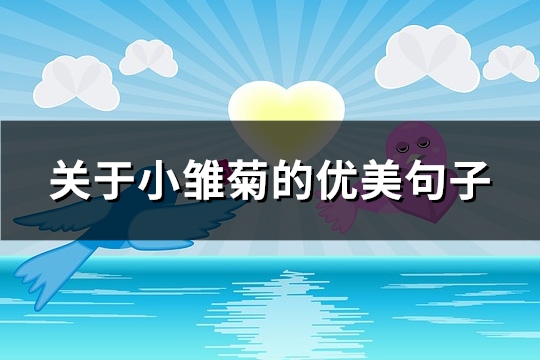 关于小雏菊的优美句子(热门89句) 关于小雏菊的优美句子(热门89句)