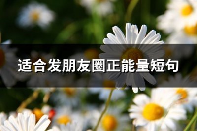 ​适合发朋友圈正能量短句(汇总106句)