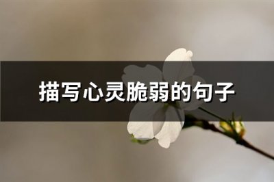 ​描写心灵脆弱的句子(热门81句)