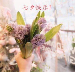 ​同学情谊的经典语句