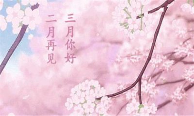 ​你的孤独虽败犹荣语录 刘同经典语录大全