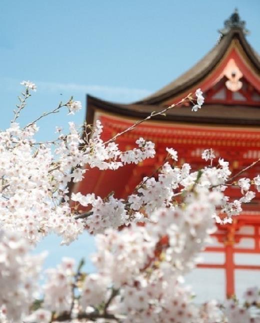 三年级结尾好句子摘抄大全