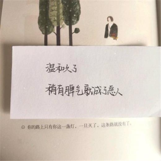 简短美句摘抄大全