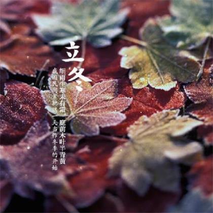 世界上最优美的拟人句