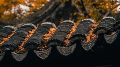 ​关于夜晚 夜晚霓虹灯的优美句子[20句]