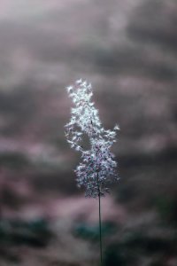 ​投机之王经典炒股语录（这些炒股经典语录还有用吗）
