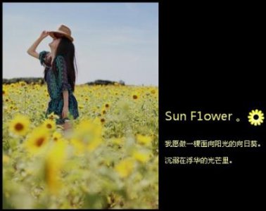 ​社会经典语录短句