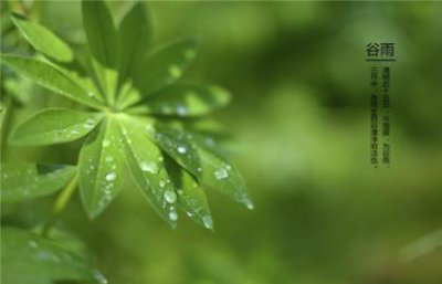 ​感恩的句子经典语录[36条] (丧系负能量厌世的句子)