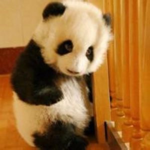 ​生活感悟经典句子一句话 最感悟人生的一句话