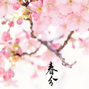 ​描写玩的开心的好词好句