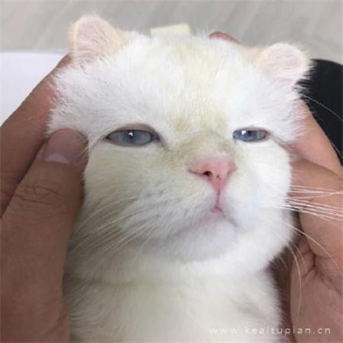 那些
