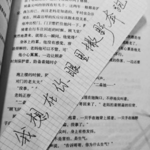 ​明白一些事 看清一些人 用沉默代替一切的句子[30条]