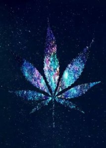 ​小学生优美排比句大全(排比拟人句优美摘抄)