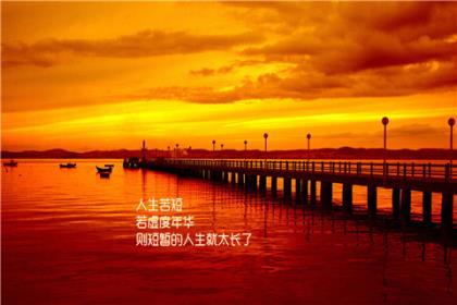 最近很火的抖音音乐