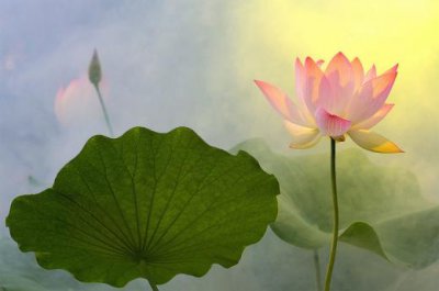 ​情侣qq空间留言短句子（给qq好友留言的简短句子）
