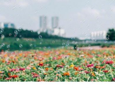 ​表示很生气很无语的句子 表示无语无奈的句子