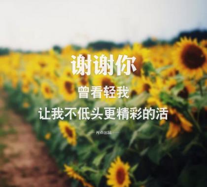 关于牙疼有内涵的句子