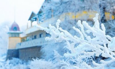 ​写冬天的句子简短（精选关于冬天的成语、句子、诗句大全）