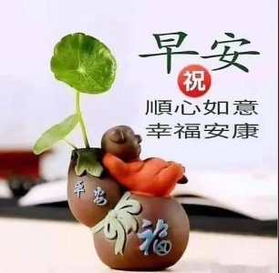 ​早上好的问候语大全集 经典短句早安问候语
