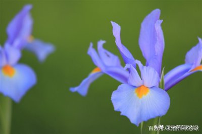 ​努力追梦的好听句子 ，不负青春，以最美的姿态奔跑！