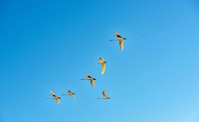 ​中国十首唯美的现代诗句 ，美入骨髓，一定要读一次