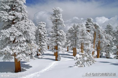 ​雪的唯美诗句有哪些(42篇古人写雪古诗词：或唯美浪漫、或凄凉孤寂、或肃杀悲